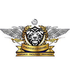Website design Karachi