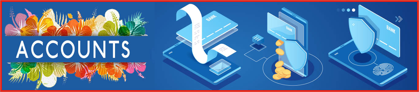 Accounts software development in karachi