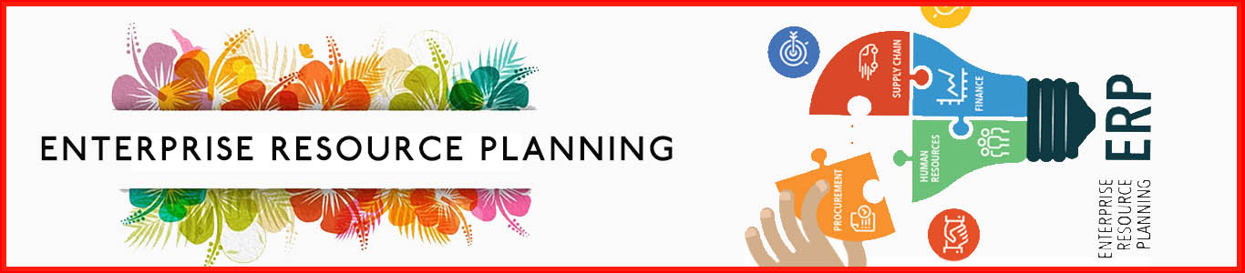 ERP Provider in Karachi