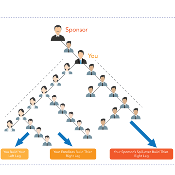 MLM website development mlm software development karachi