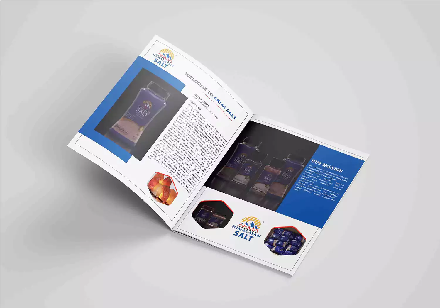 Company Profile design in Karachi